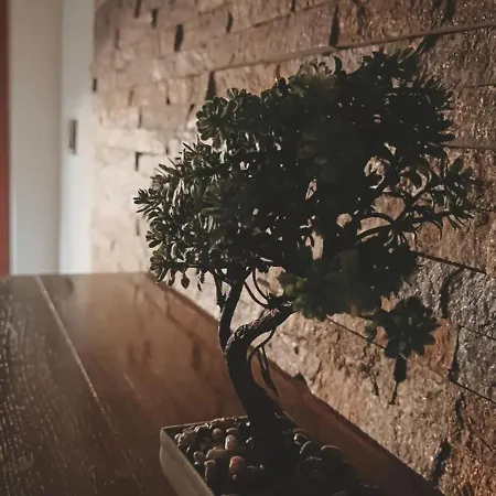 Lejlighed Kutak-corner Beograd